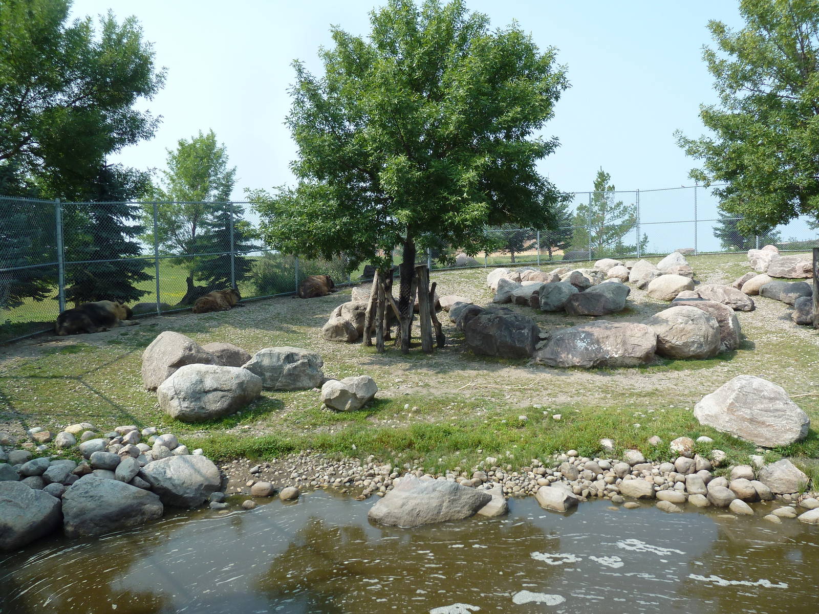 Sichuan Takin Exhibit