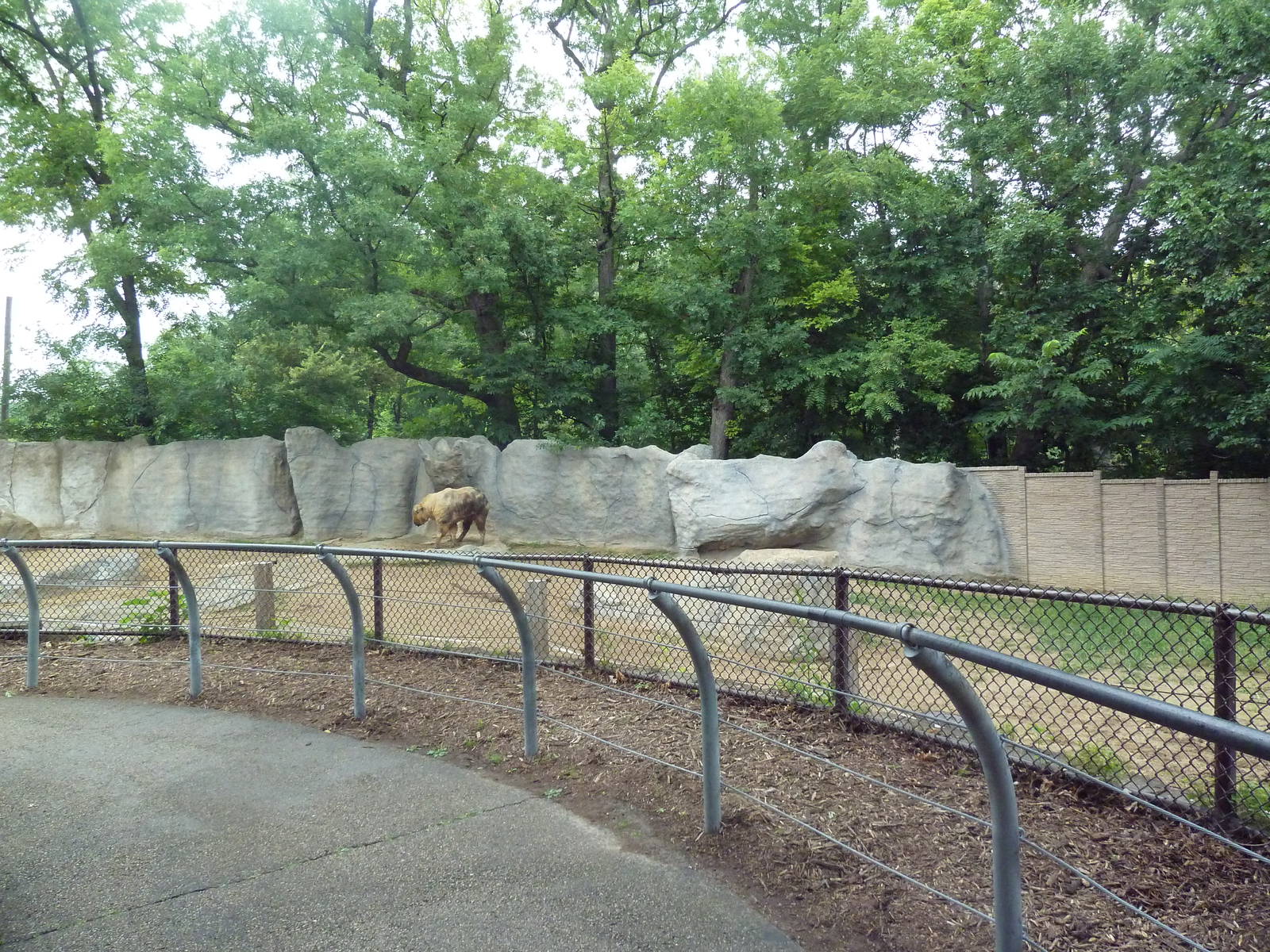 Sichuan Takin Exhibit