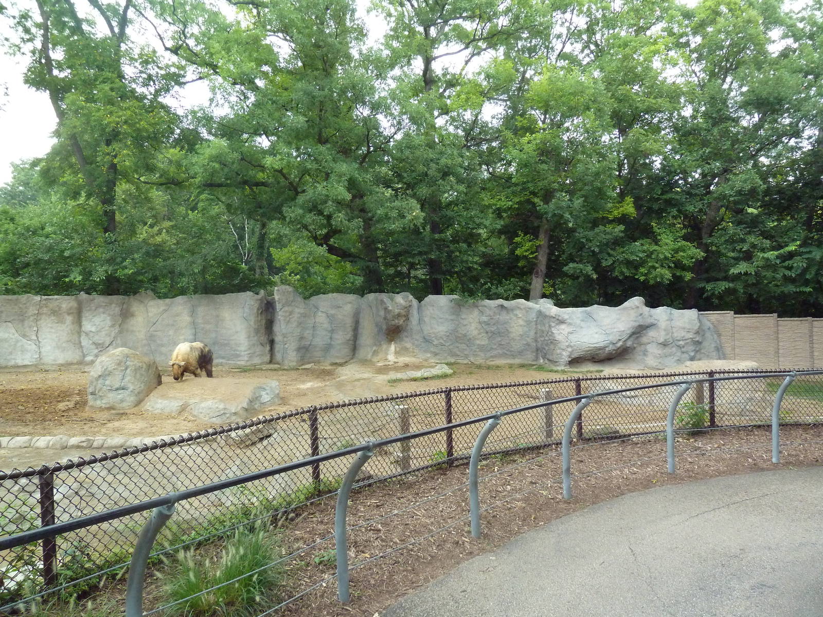 Sichuan Takin Exhibit