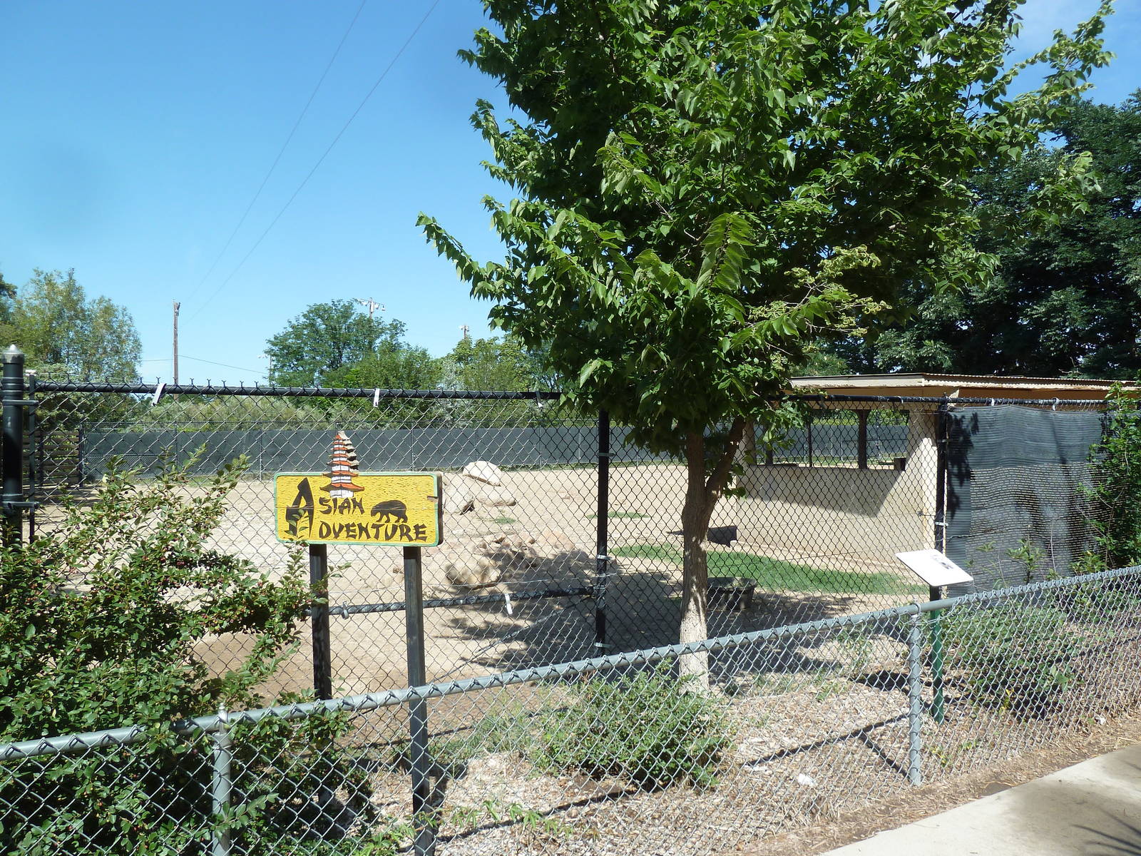 Sichuan Takin Exhibit
