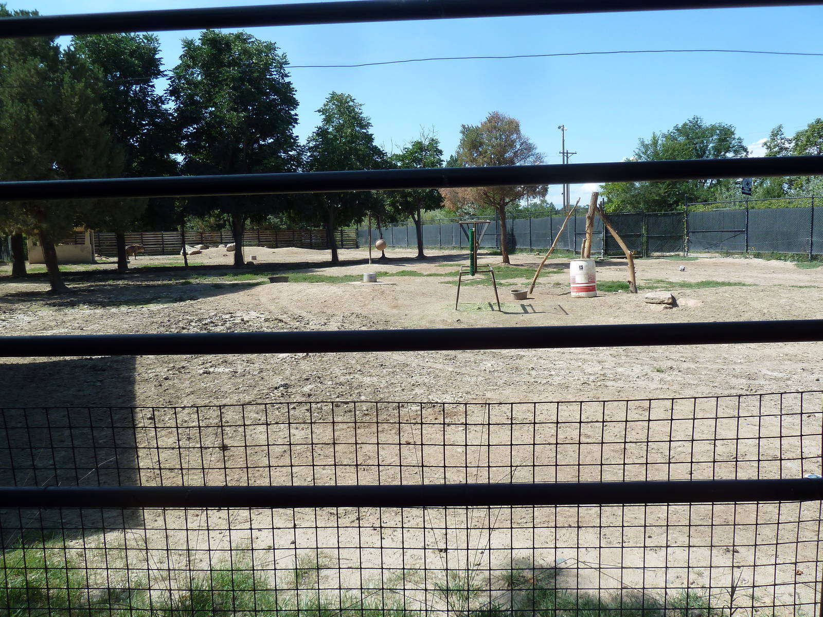 Sichuan Takin Exhibit