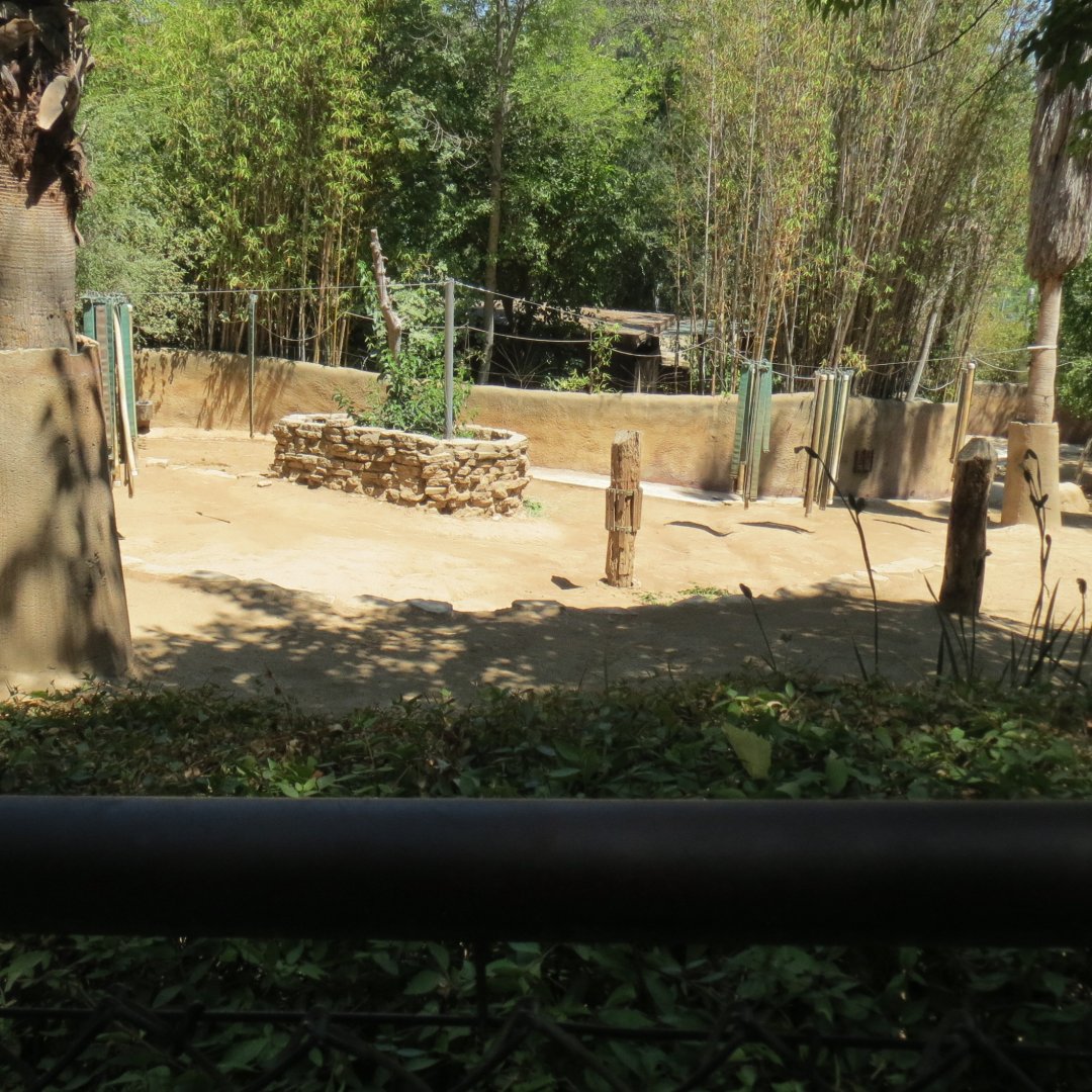Sichuan Takin Exhibit