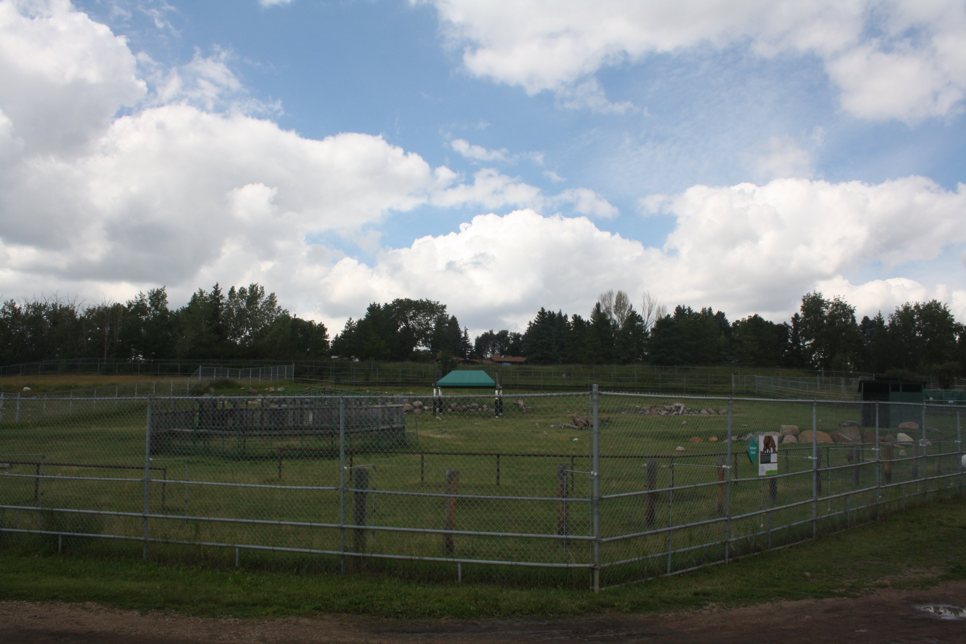 Sichuan Takin Exhibit