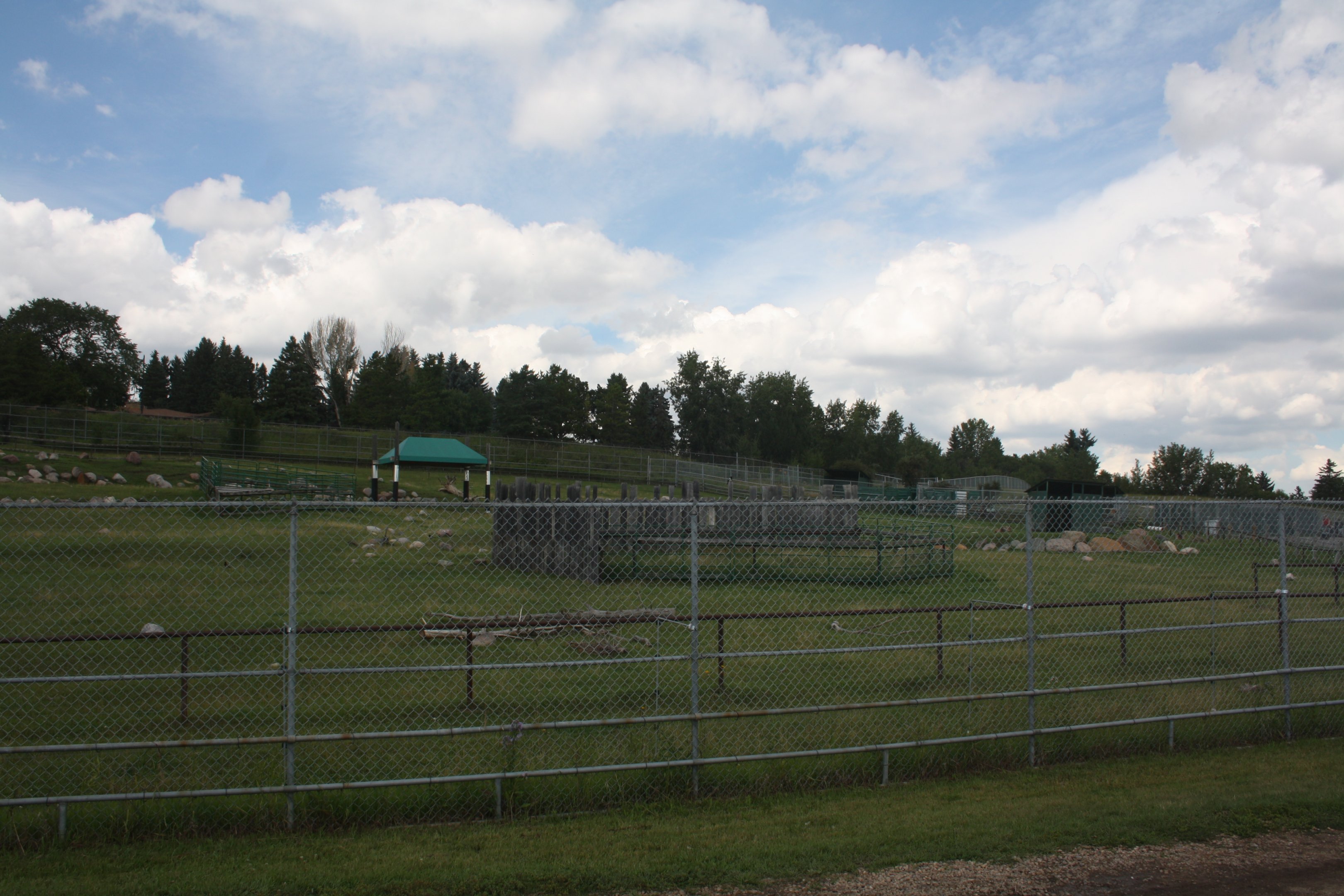 Sichuan Takin Exhibit
