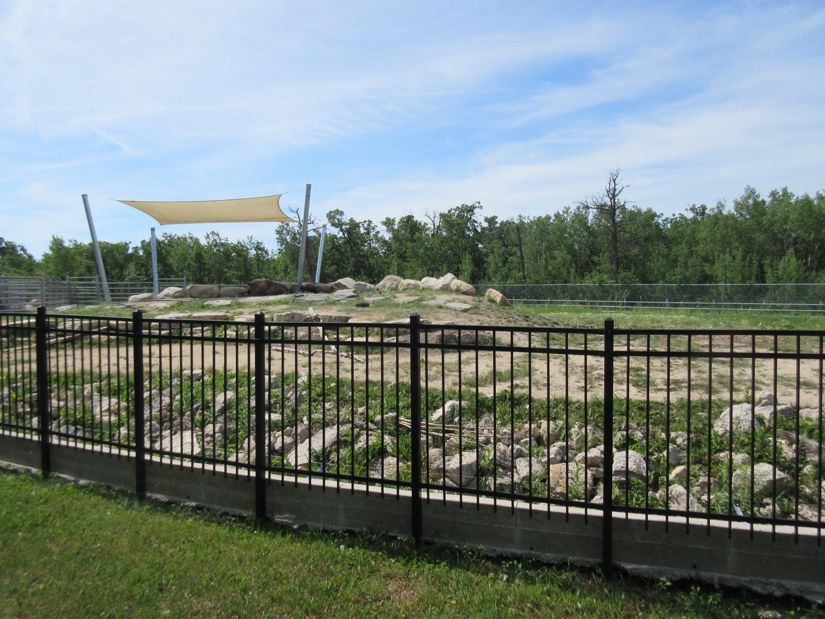 Sichuan Takin Exhibit