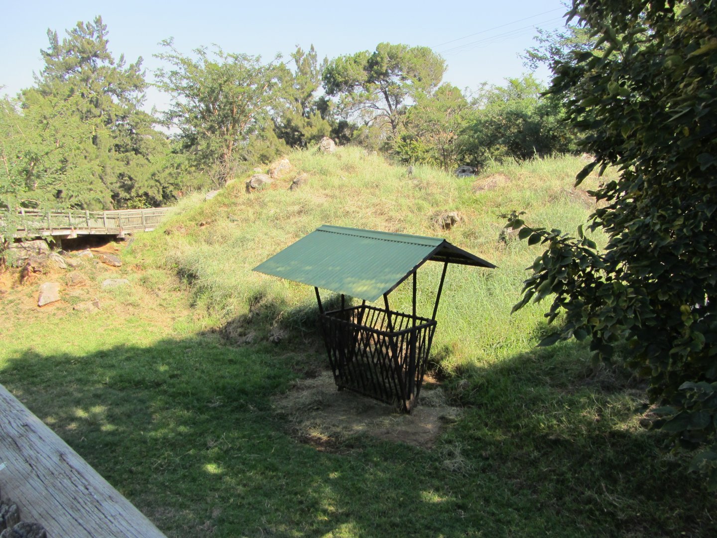 Sichuan Takin Exhibit