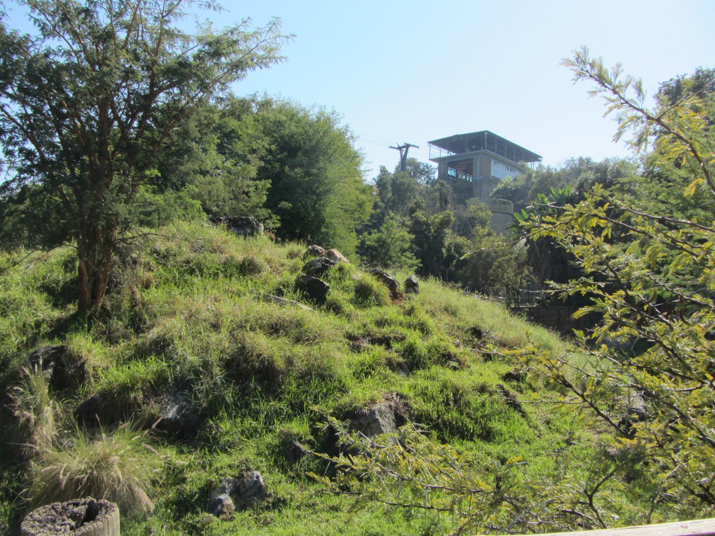 Sichuan Takin Exhibit
