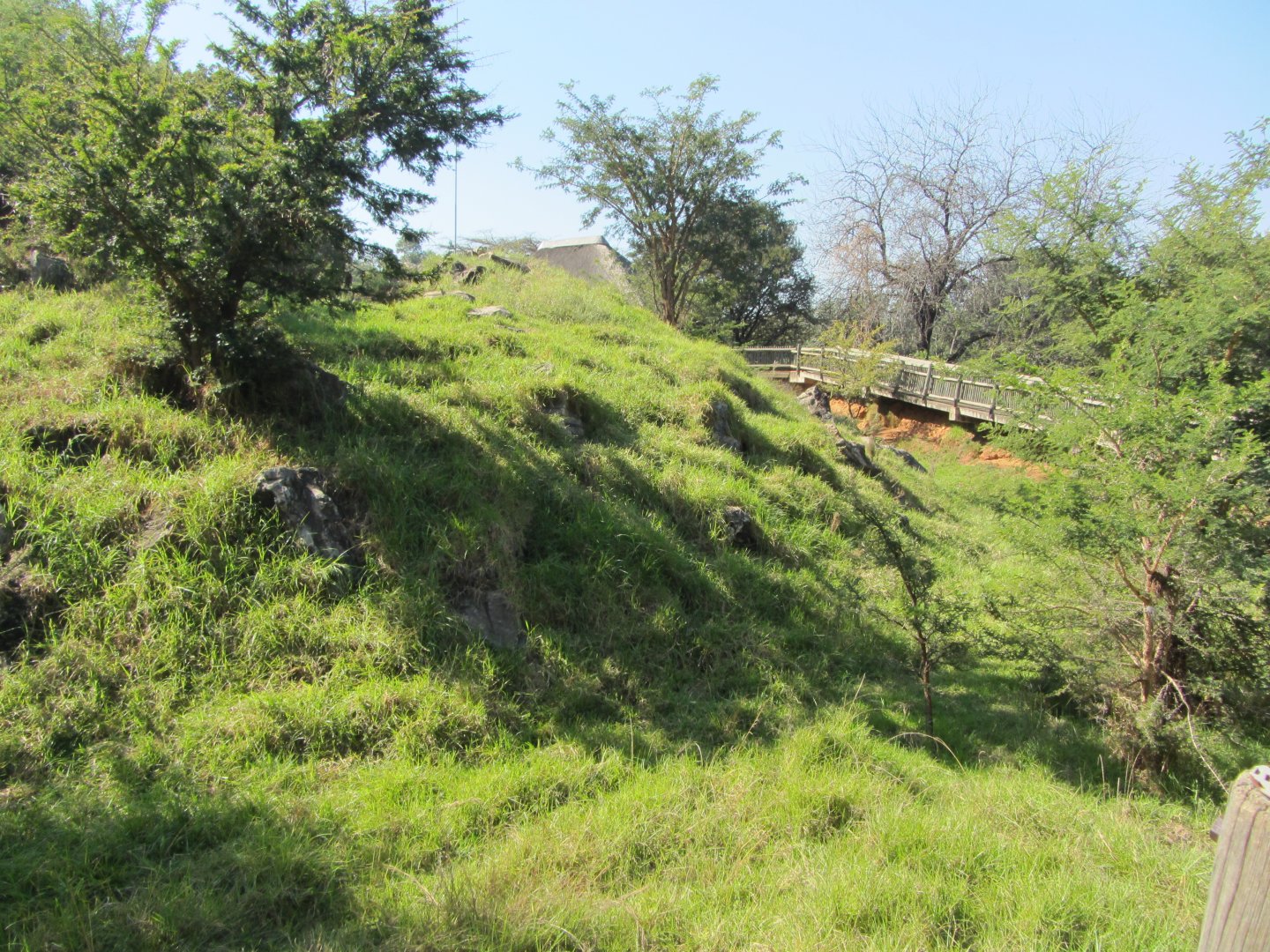 Sichuan Takin Exhibit