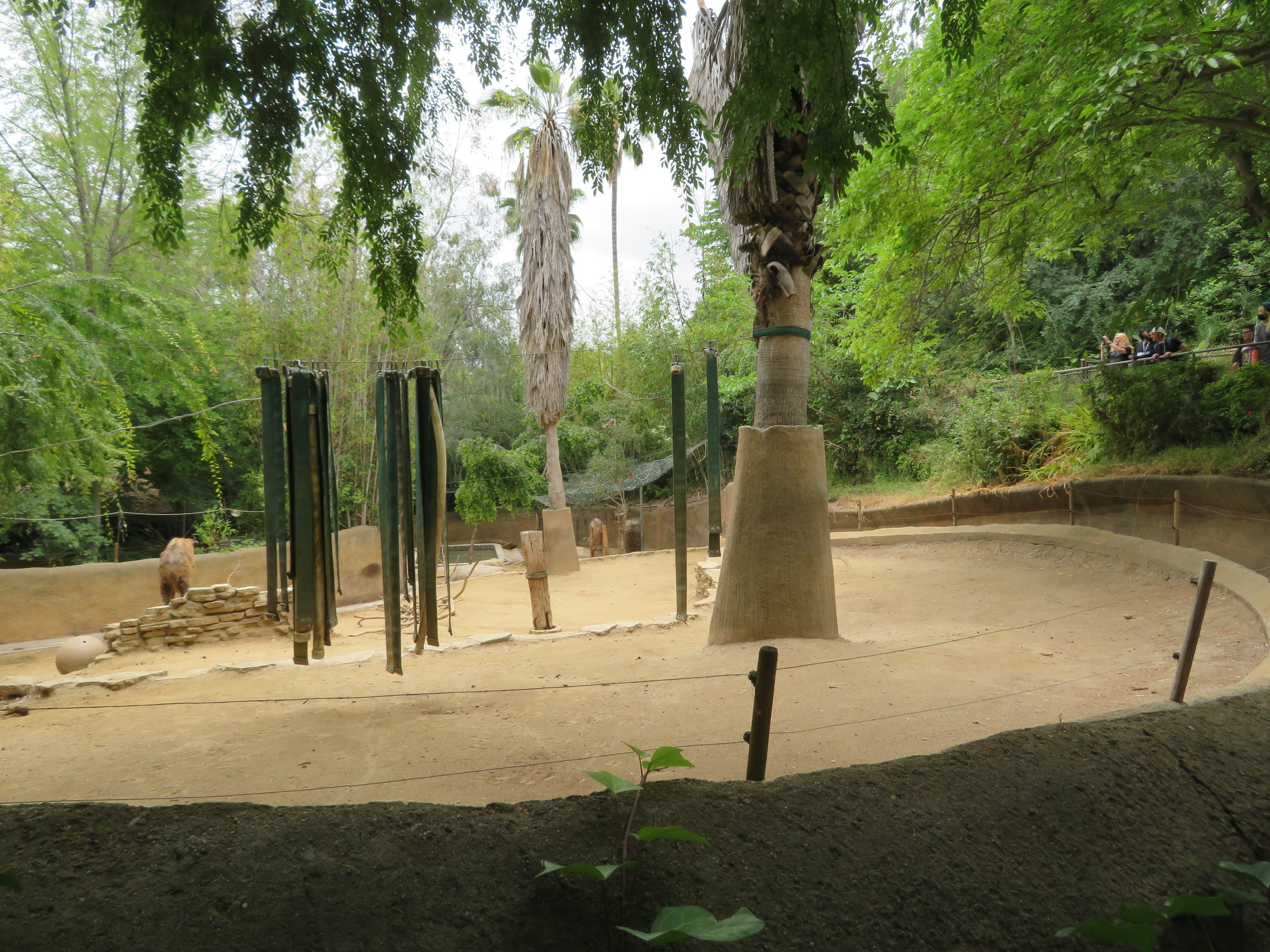 Sichuan Takin Exhibit