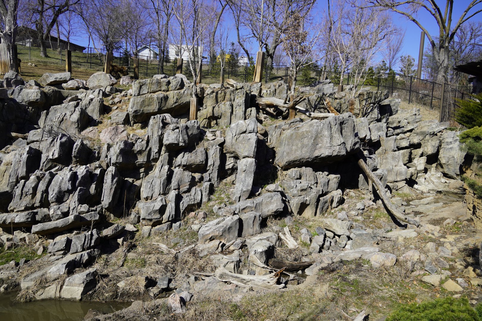 Sichuan Takin Exhibit