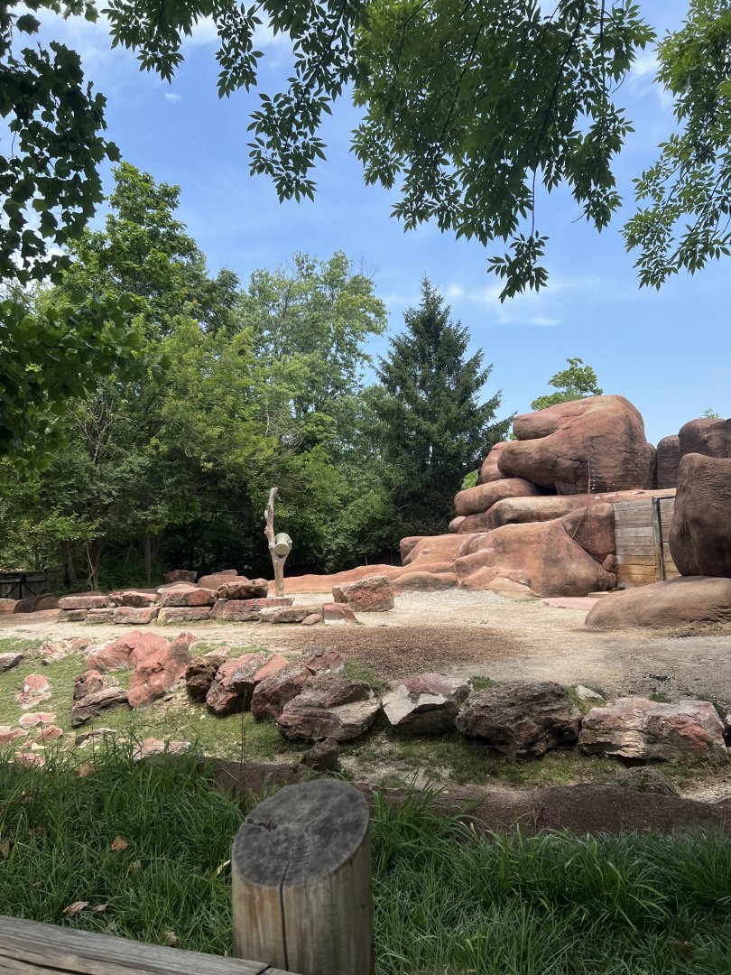 Sichuan Takin Exhibit