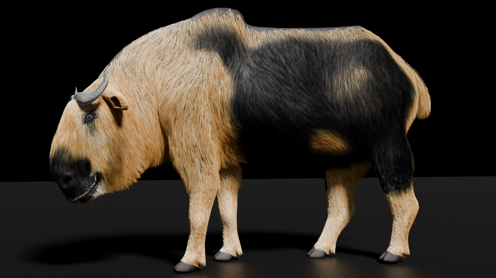 Sichuan Takin - Satoresque style