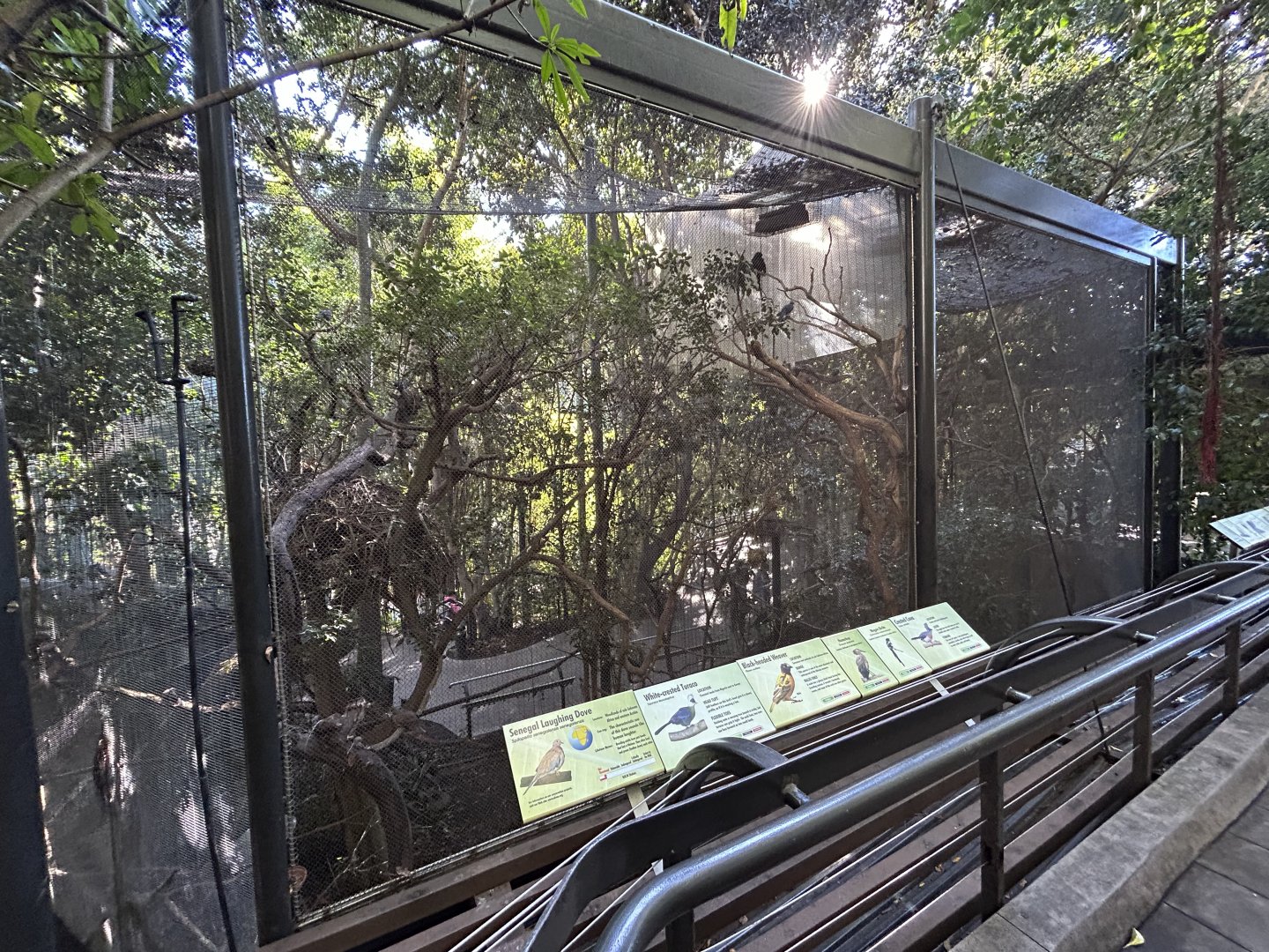 Side Aviaries connected to Scripps Aviary