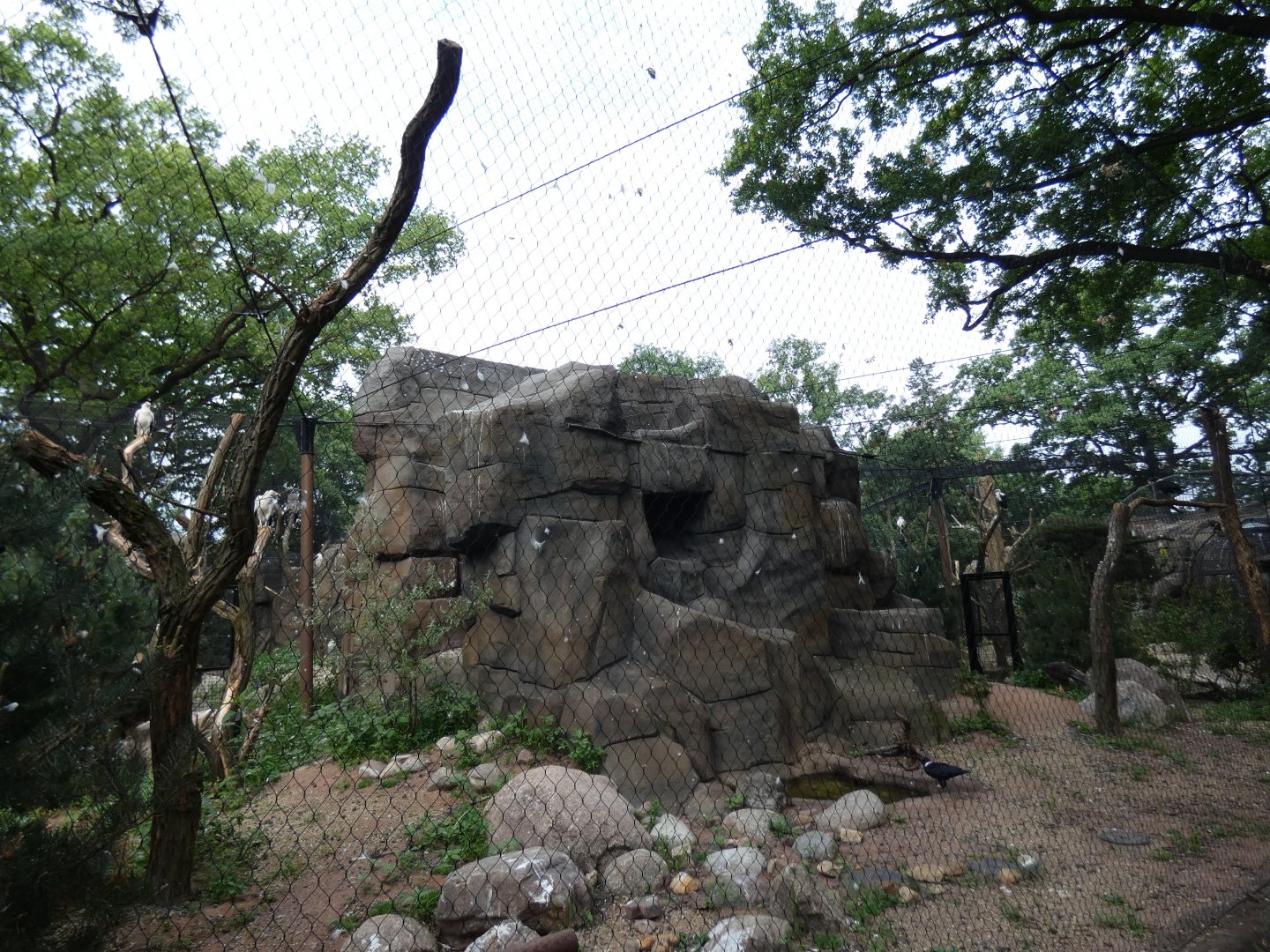Side aviary in Eagle Canyon