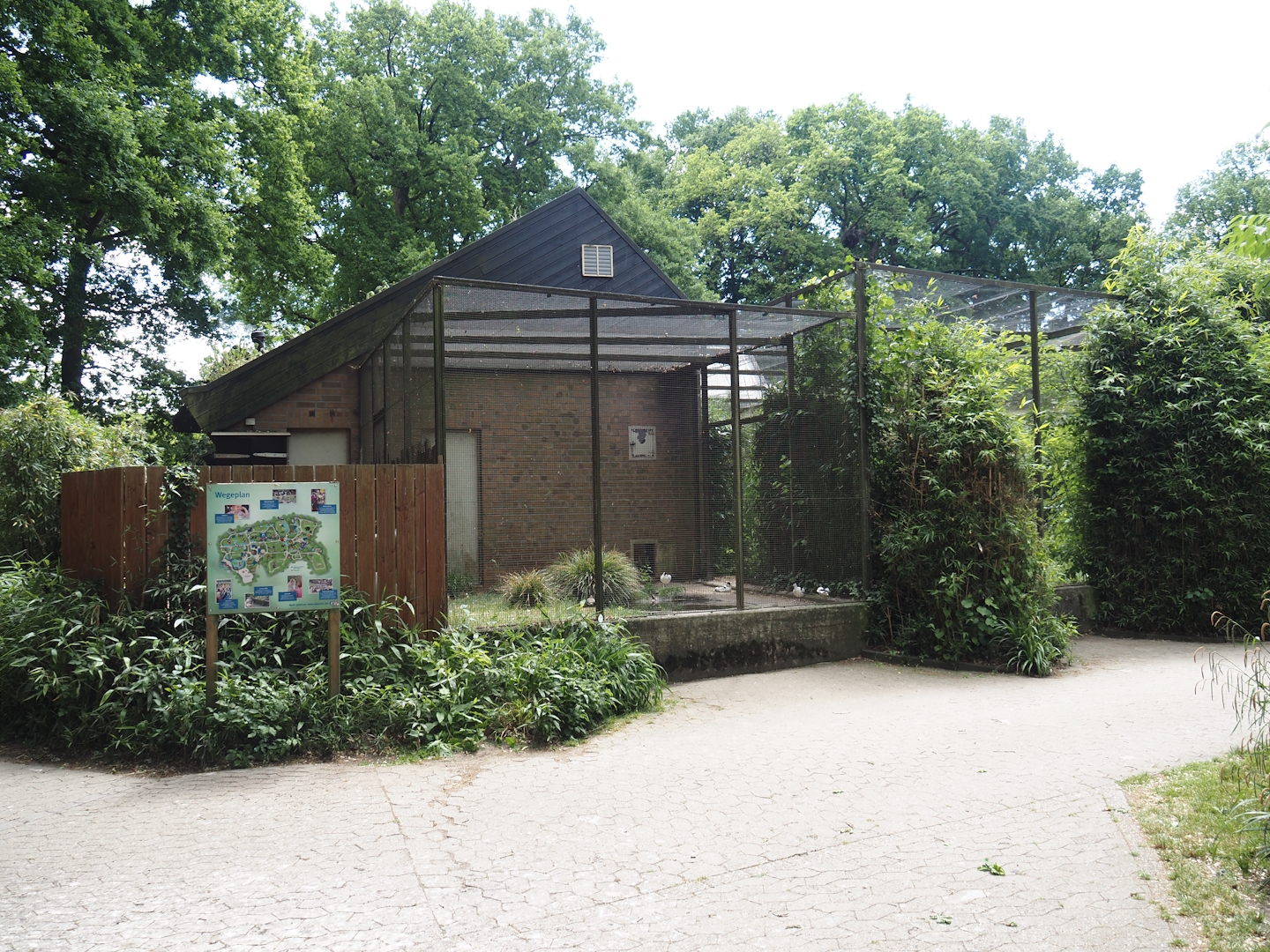 Side aviary of the walk-through aviary for European wading birds, 2025-05-22