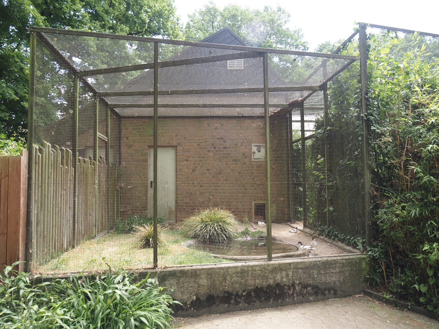 Side aviary of the walk-through aviary for European wading birds, 2025-05-22