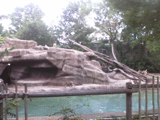 Side of Monkey Island, America's first bar-less monkey exhibit