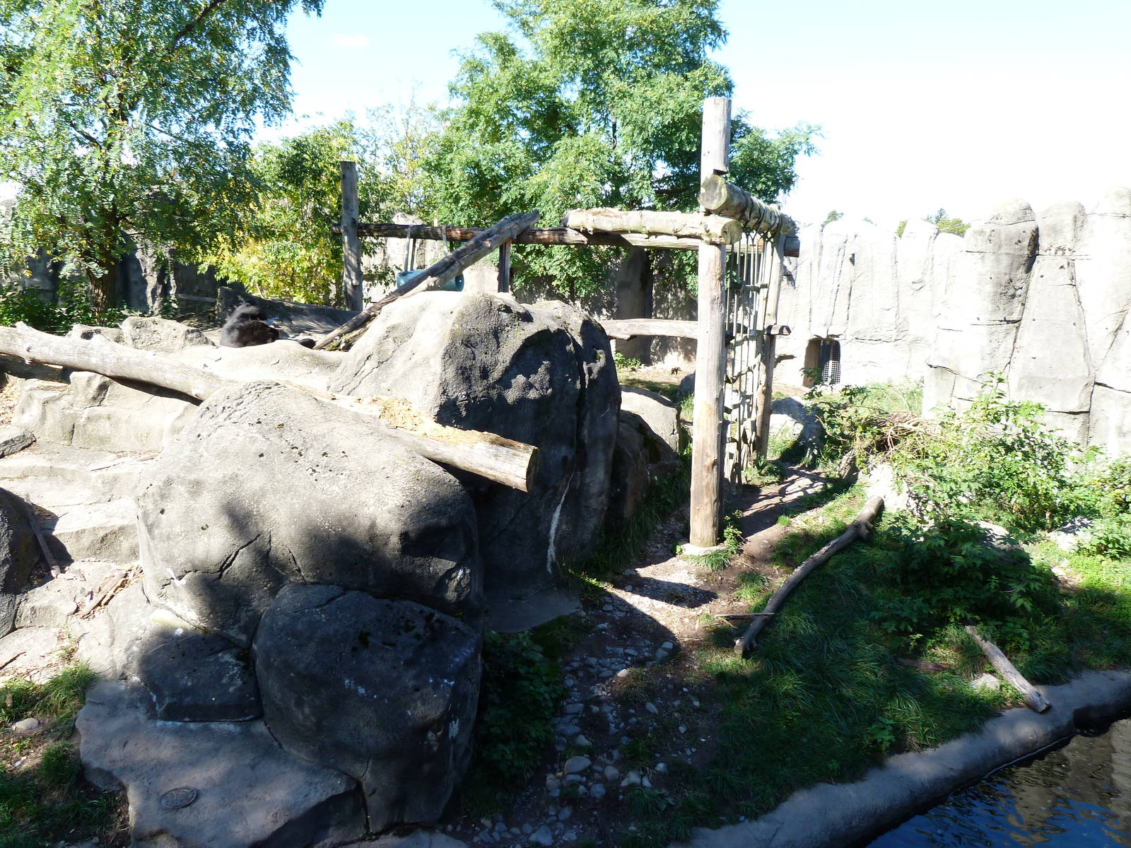 Side of Spectacled Bear Exhibit
