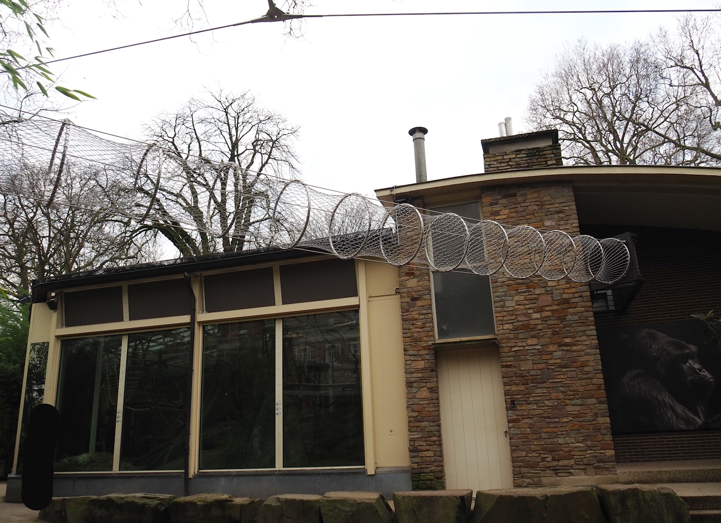 Side of the Ape House with gorilla indoor exhibit viewing windows and tunnel for Hamlyn's monkeys, 2024-02-17