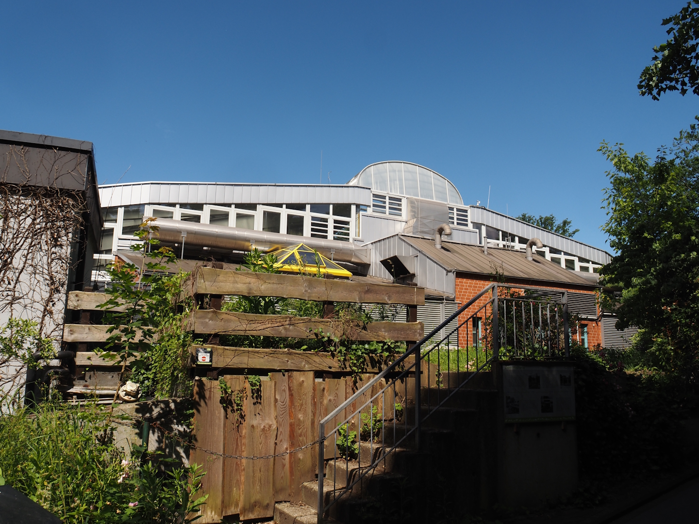 Side of the dolphinarium, 2024-06-08