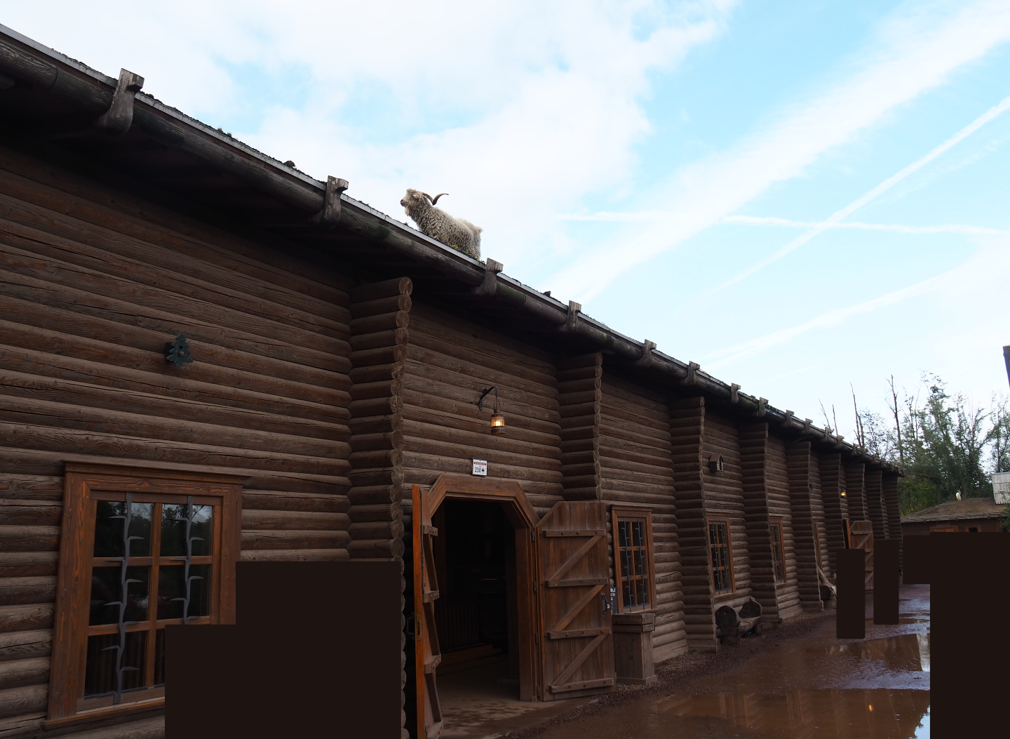 Side of the train hangar - With Angora goat, 2019-10-04