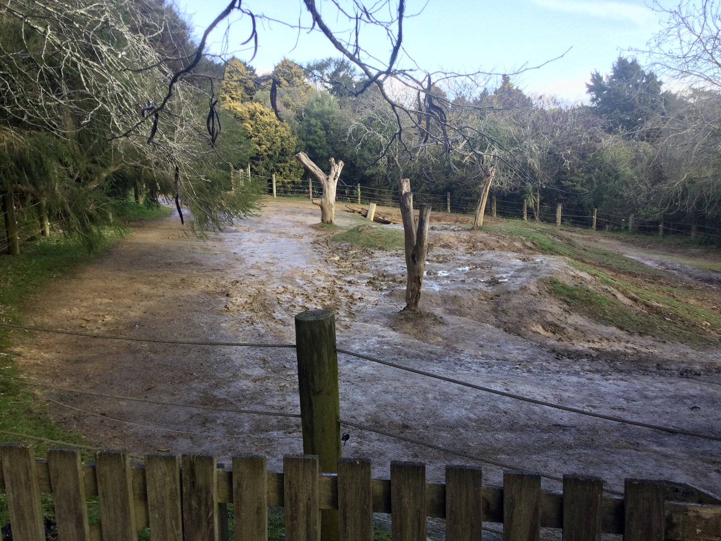 Side Paddock - Southern White Rhinoceros Exhibit