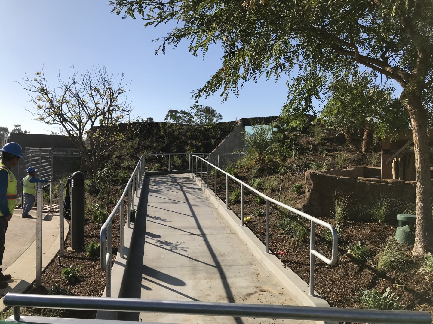 Side Path To H Baboon Viewing Area - Closed - Behind Snack Stand