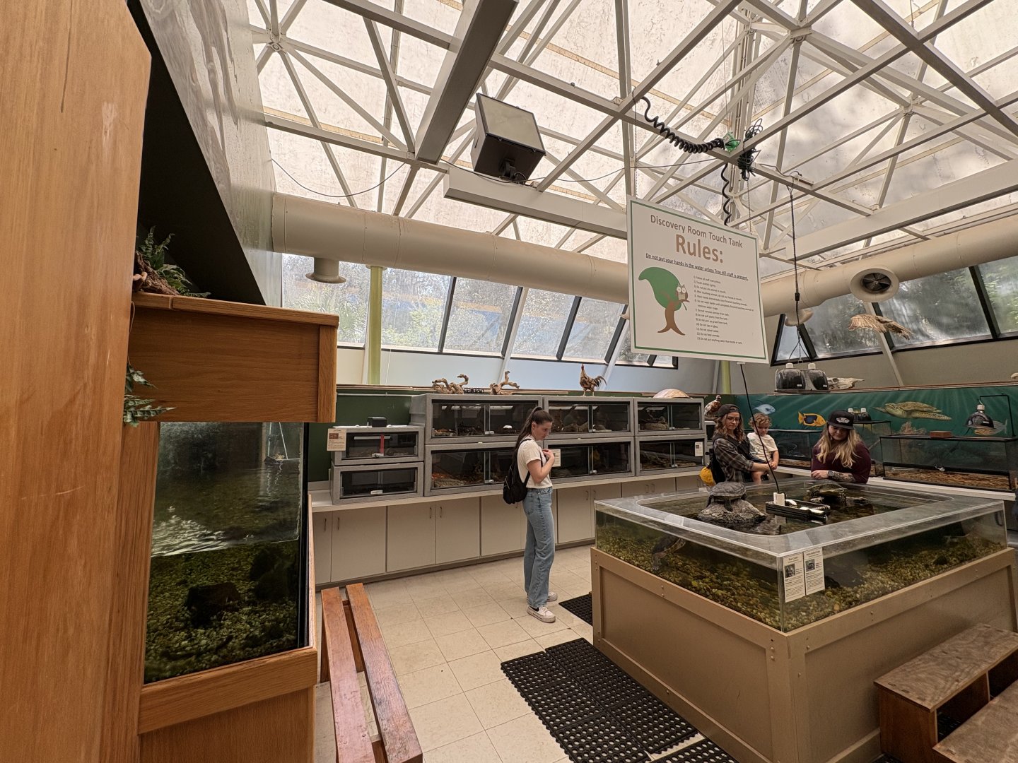 Side room - turtles and snakes