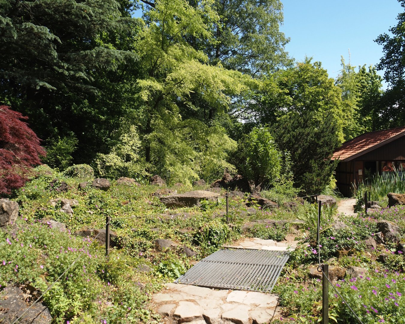 Side trail in the rock garden, 2025-05-22