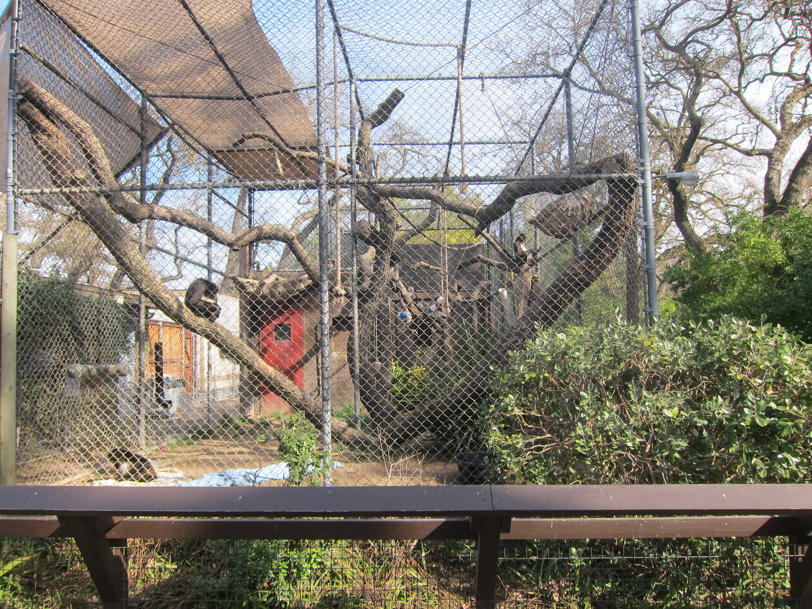 Side Veiw of Spider Monkey Enclosure