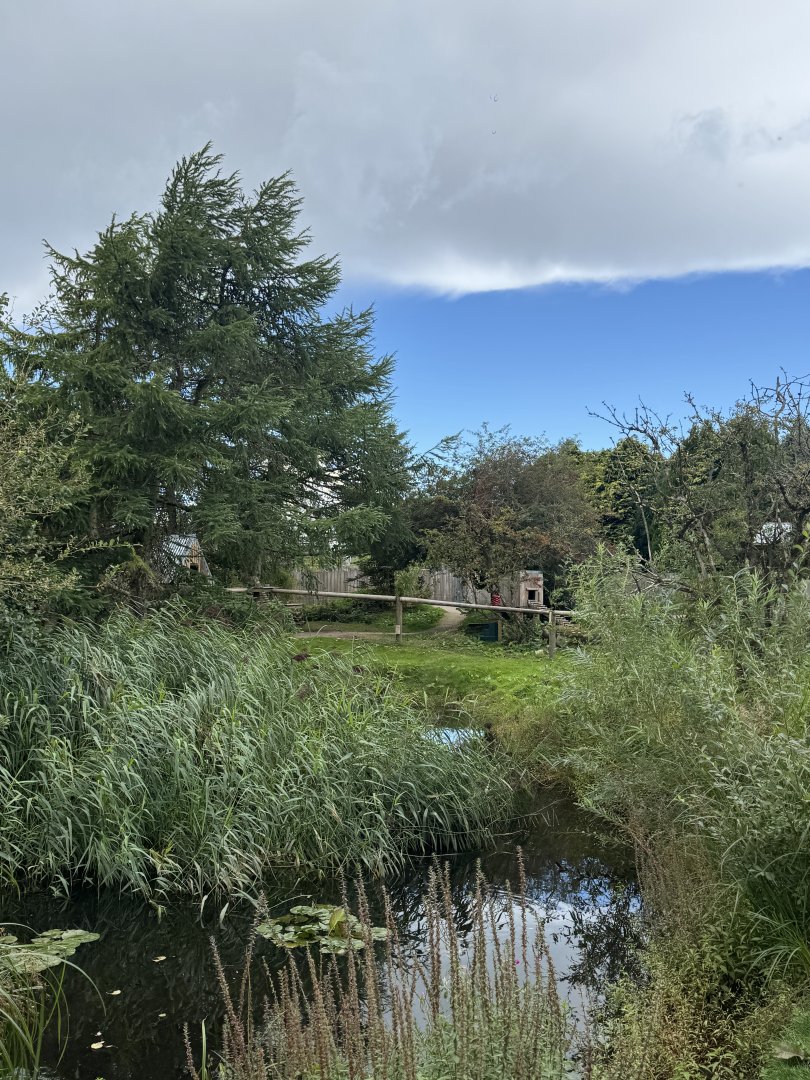 Side View of ASCO enclosure