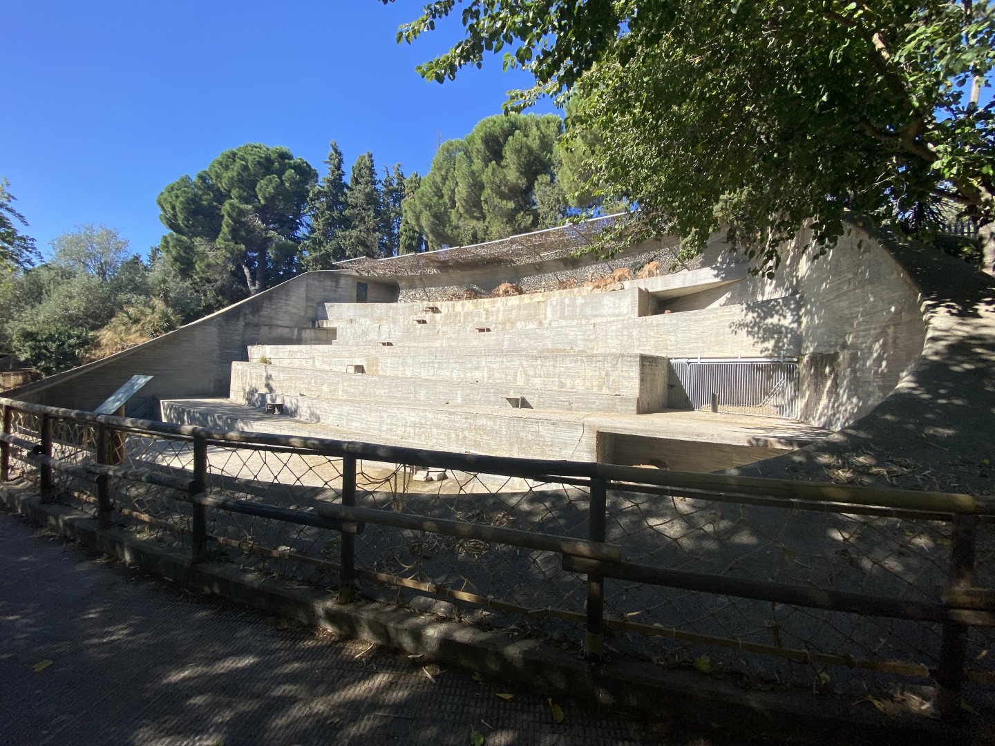 Side view of Barbary sheep enclosure