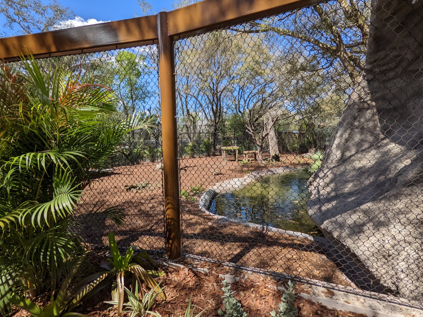 Side view of black bear habitat #2