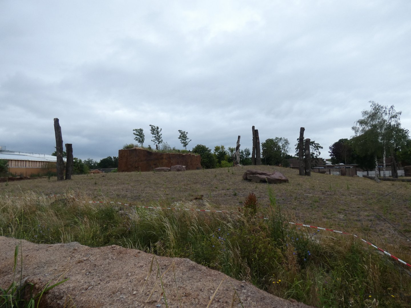 Side view of Elephant outdoors