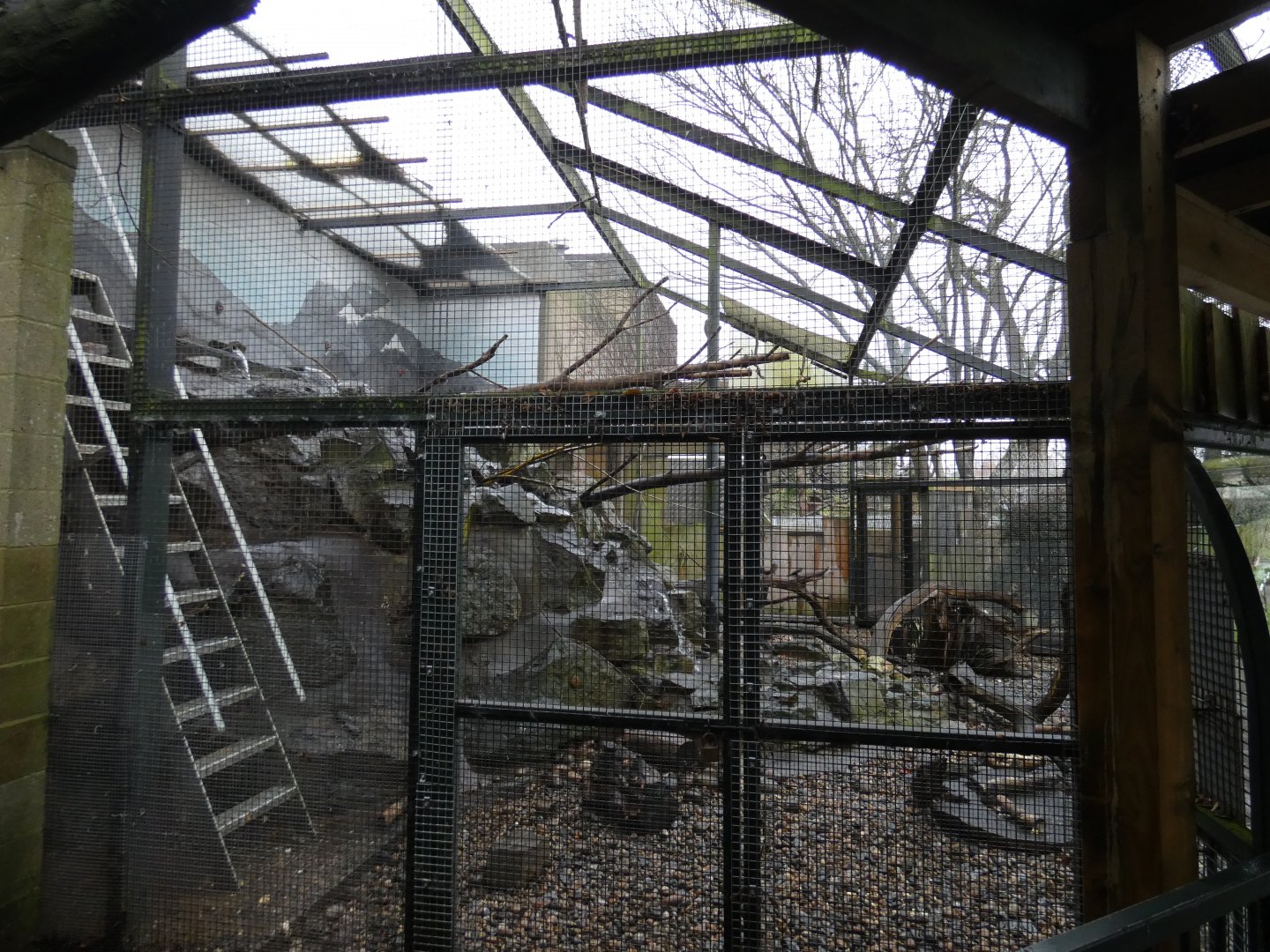 Side view of Kea aviary