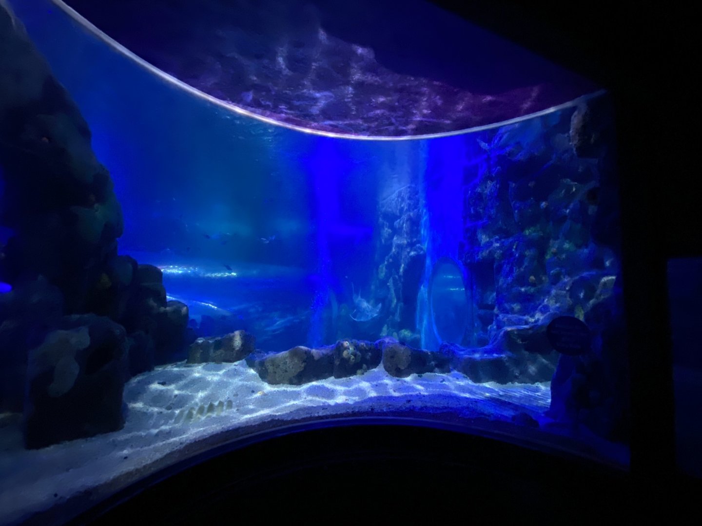 Side view of large tank with 360 Tunnel 070123