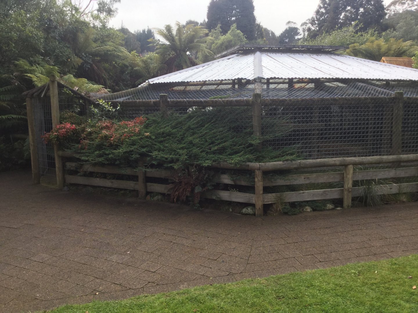 Side View of Lion Cub Exhibit