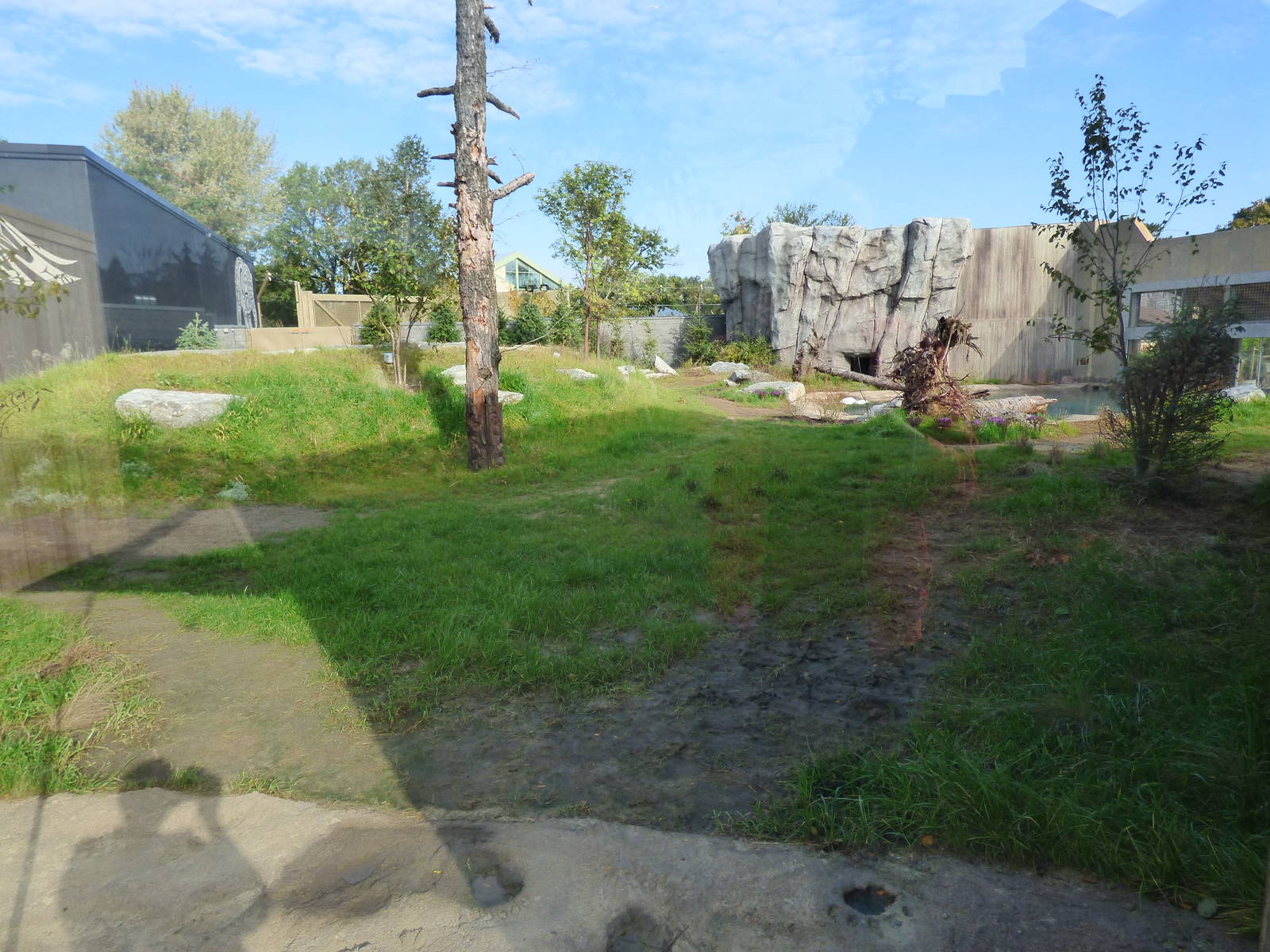 Side View of Polar Bear Exhibit #1