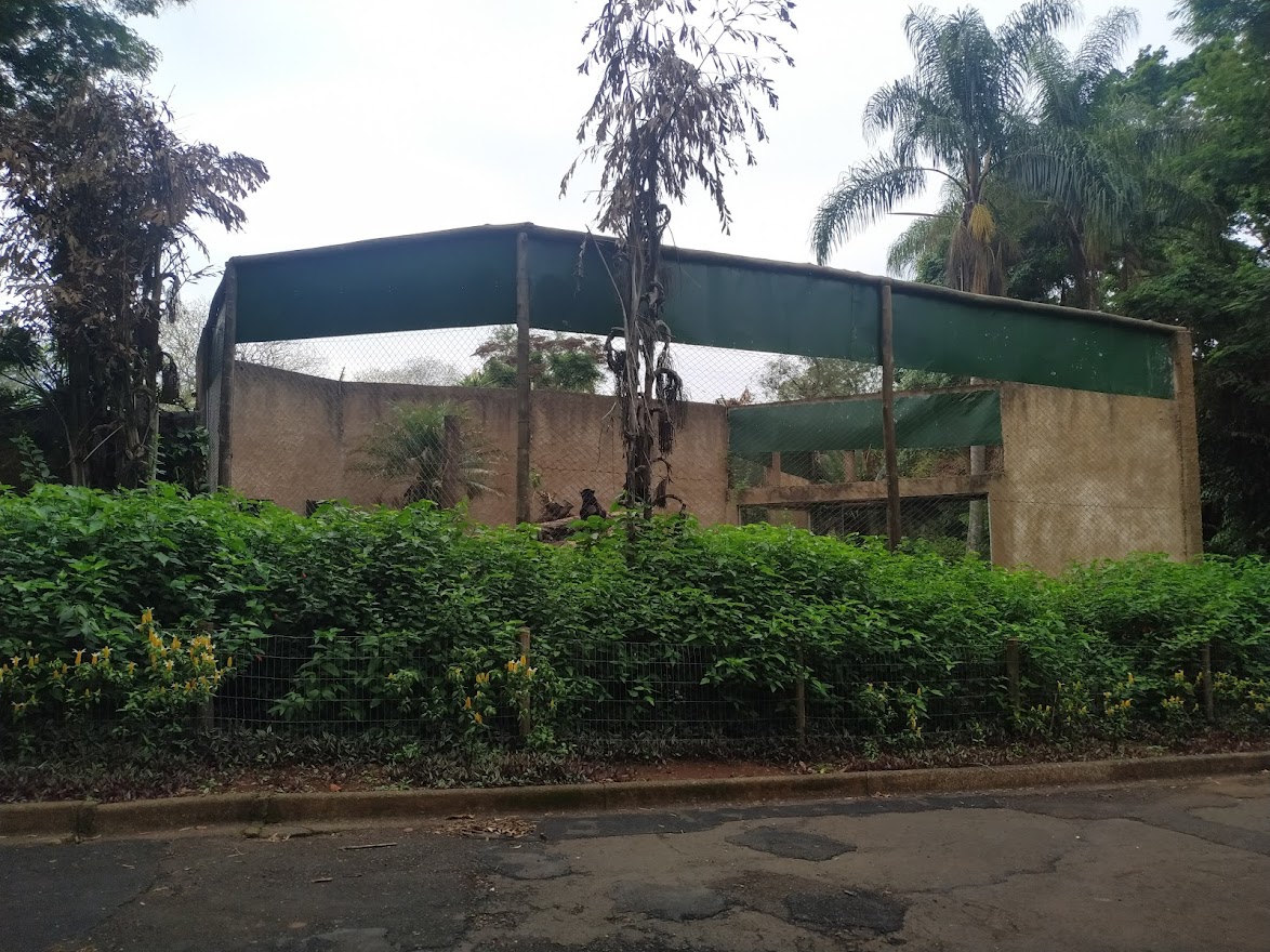 Side View of the Black Jaguar Habitat