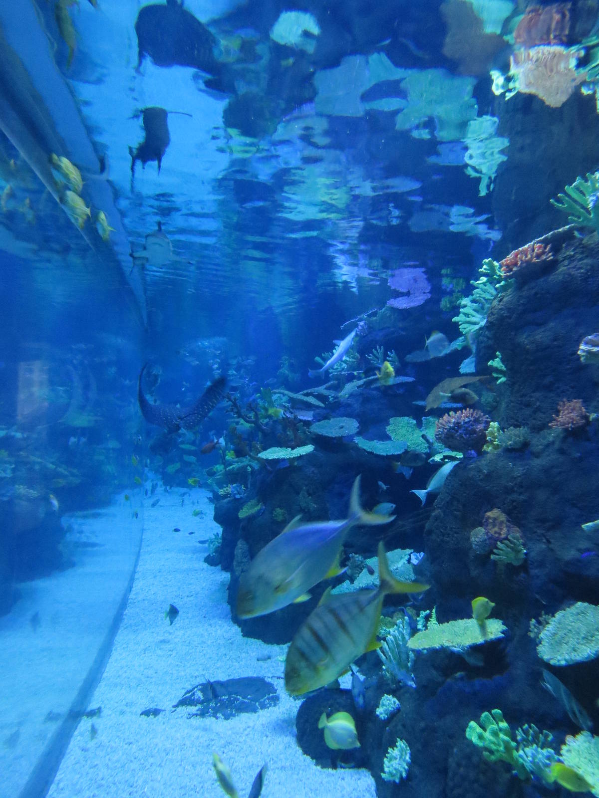 Side view of the main tank, June 2015.