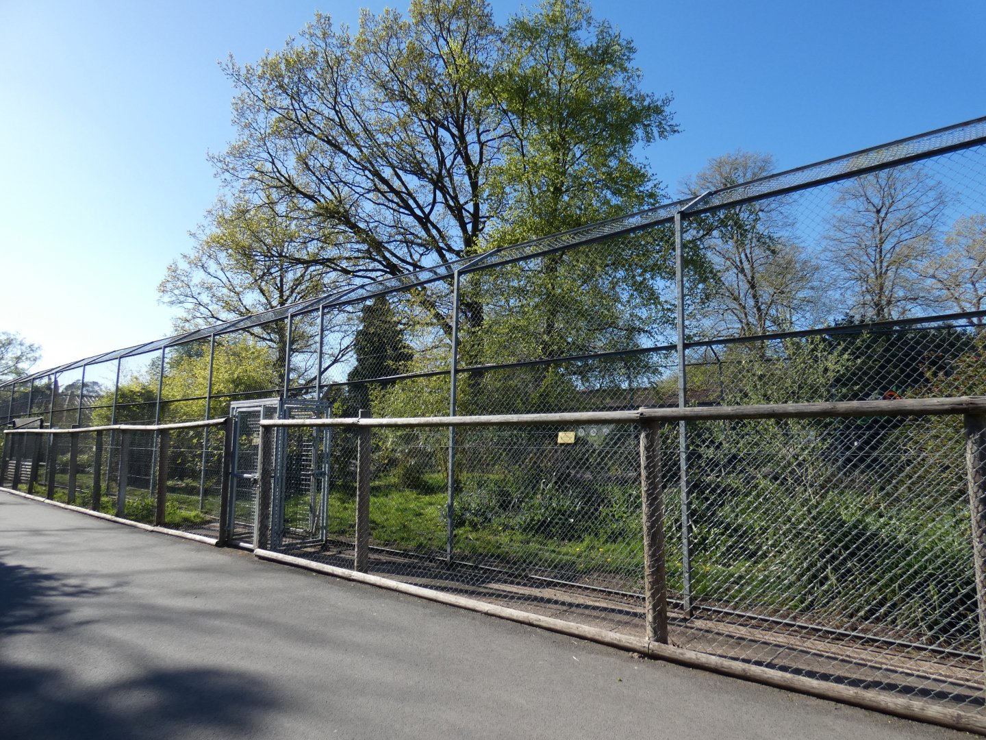Side-view of tiger enclosure