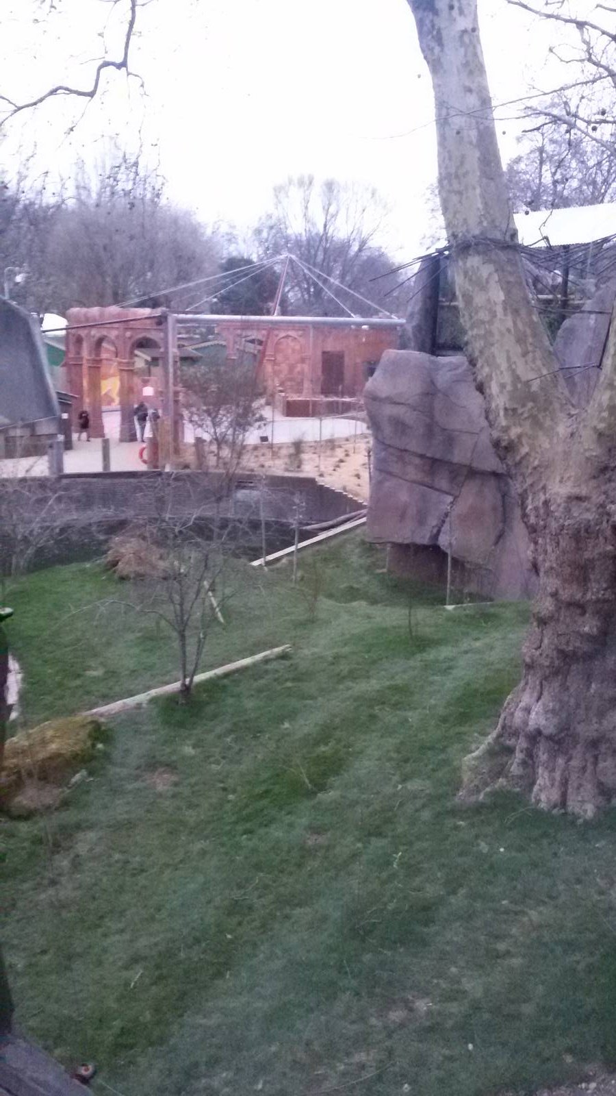 Side view (penguin pool childrens zoo side)