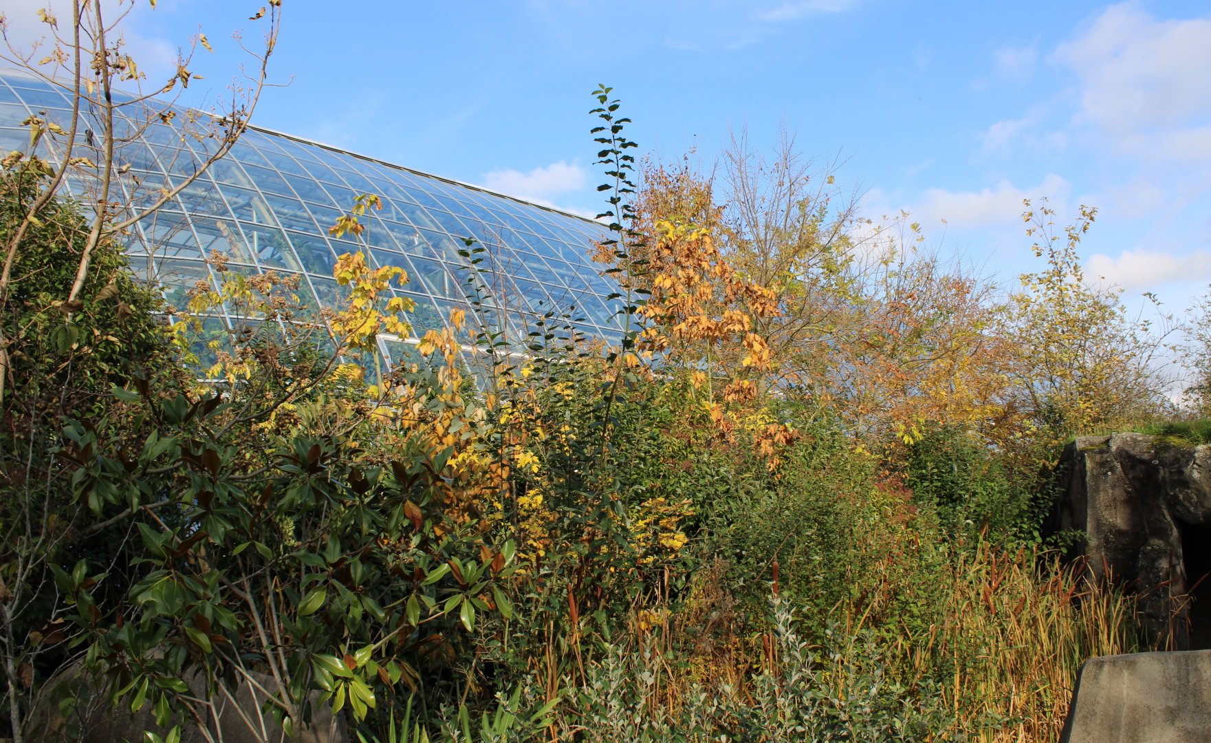 Side-view Tropical Hall