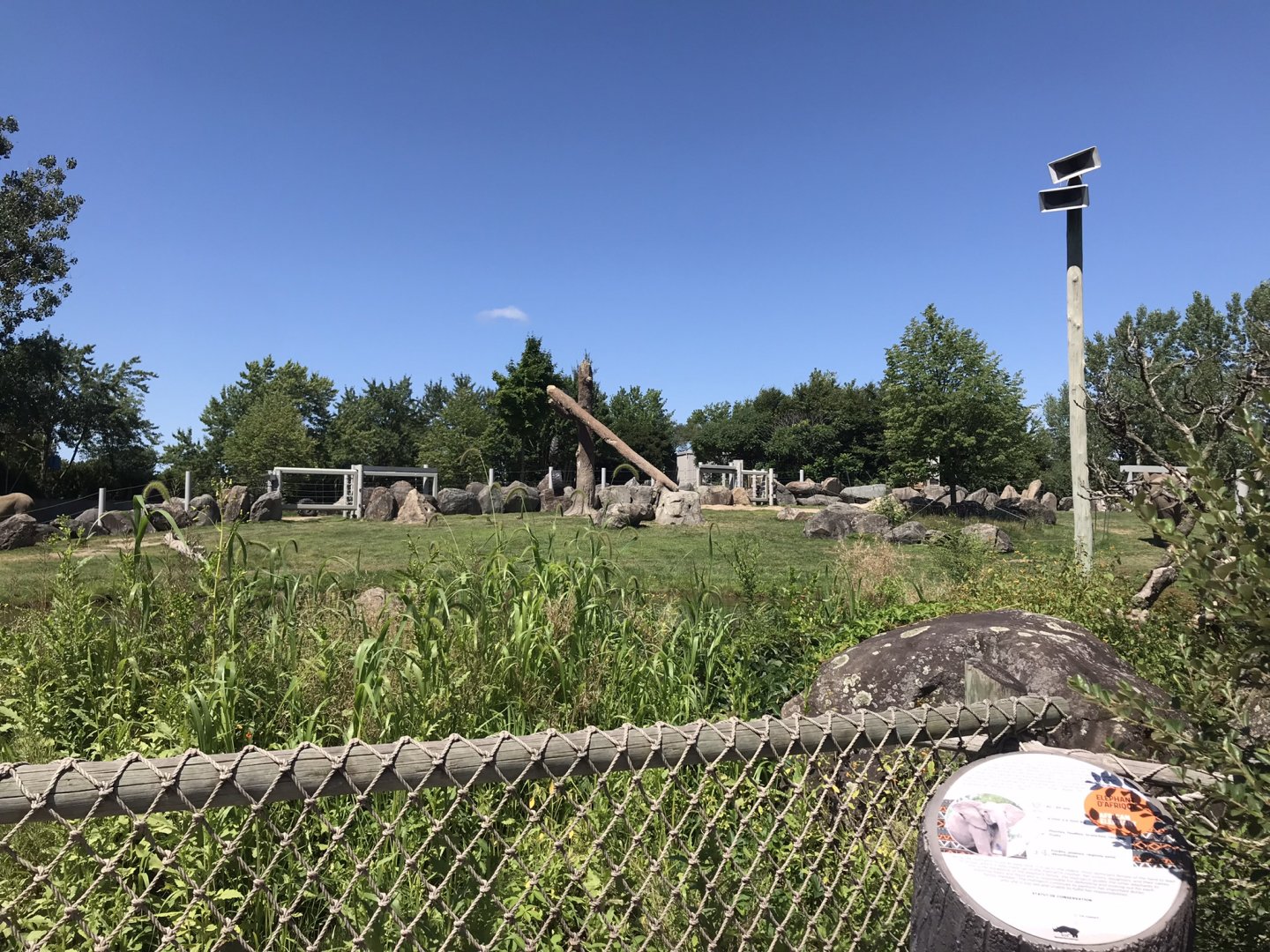 Side viewing for the African Elephant exhibit