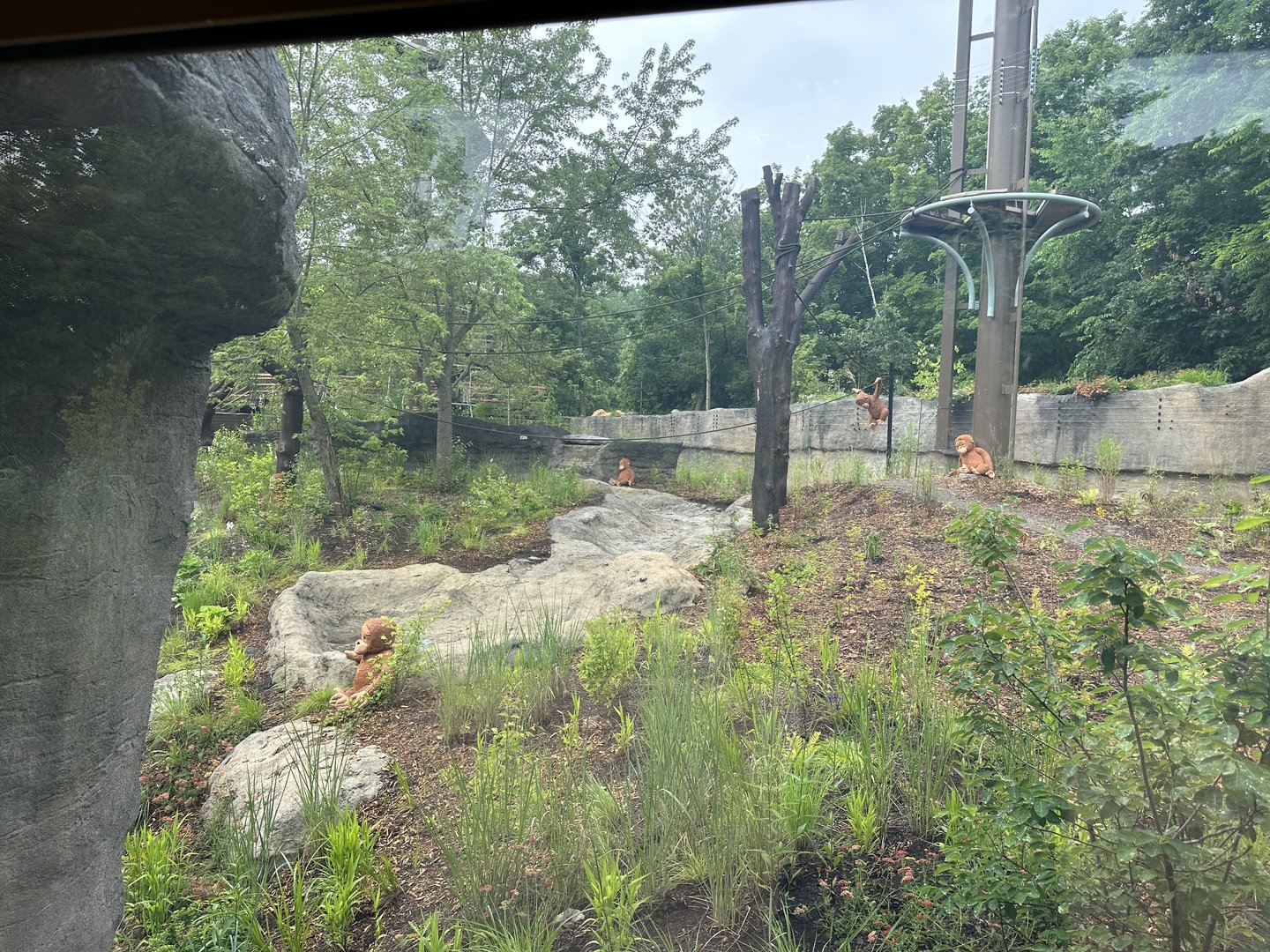 Side viewing Window of the exhibit on ground level.