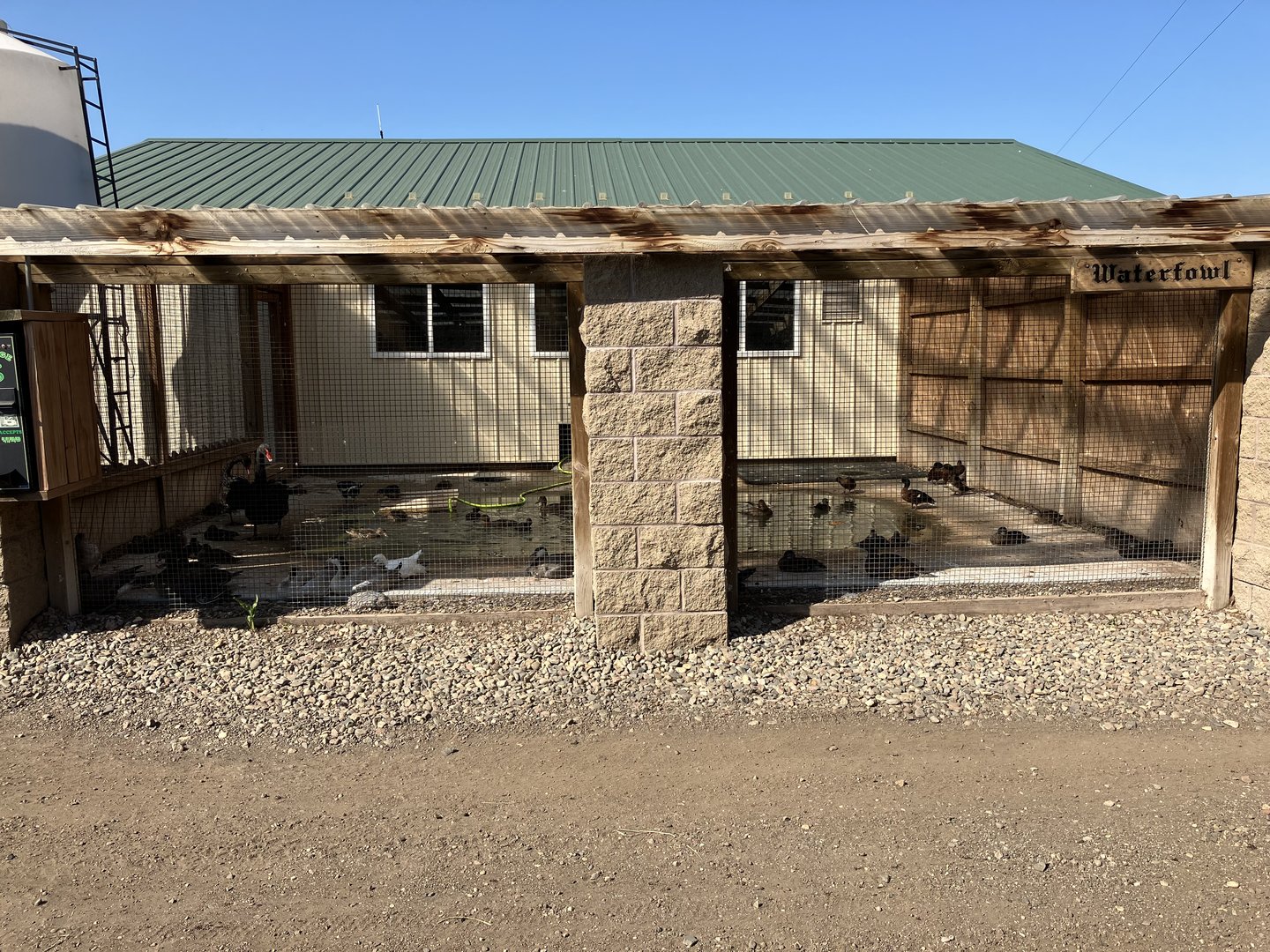 Side Waterfowl Exhibit