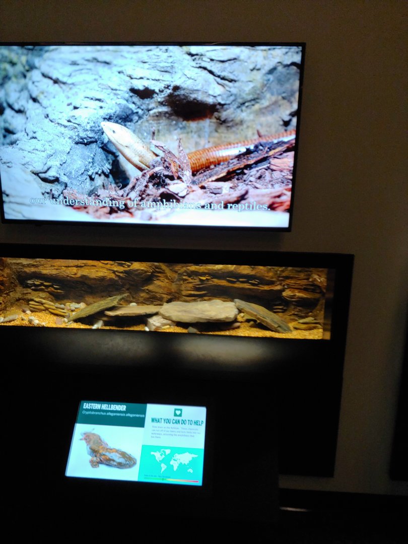 Sideroom1: Hellbender