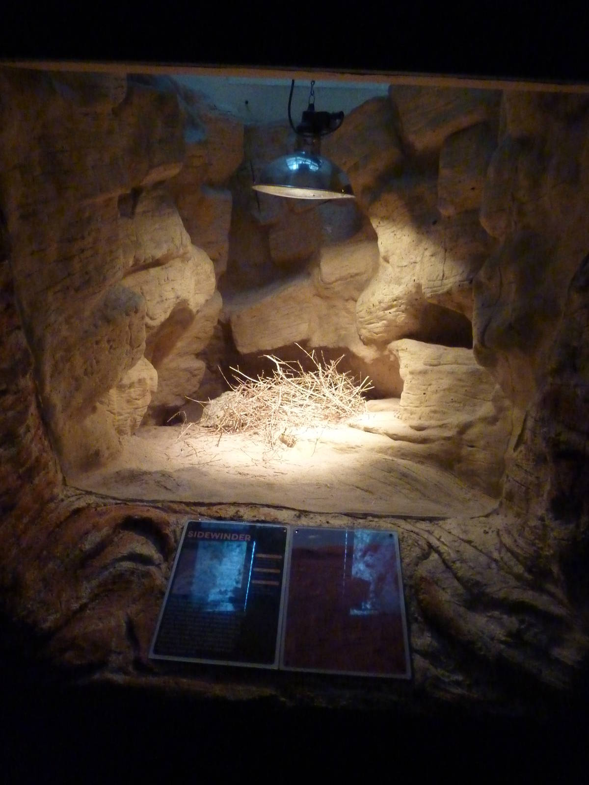 Sidewinder enclosure