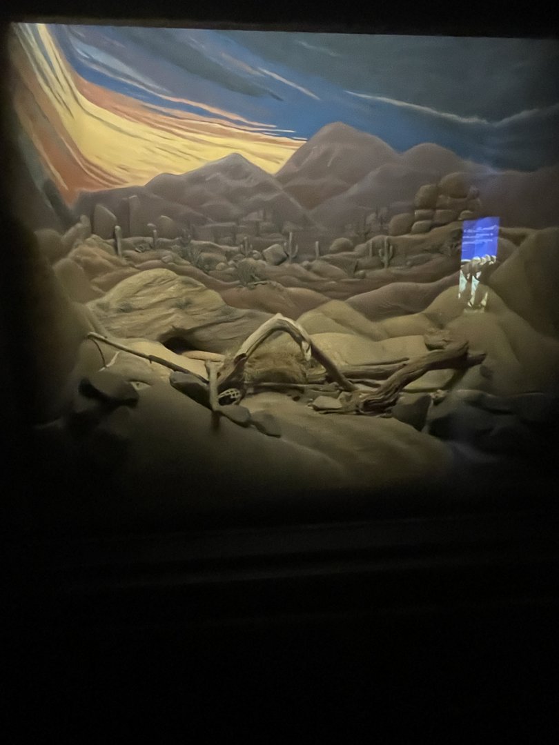 Sidewinder Enclosure