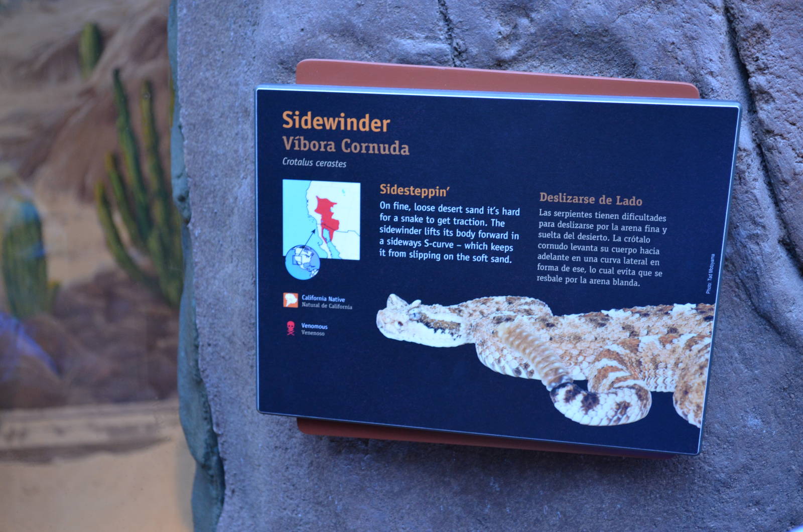 SIDEWINDER SIGNAGE